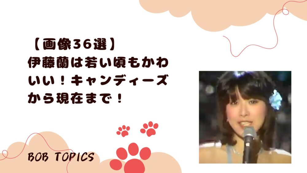 伊藤蘭アイキャッチ画像